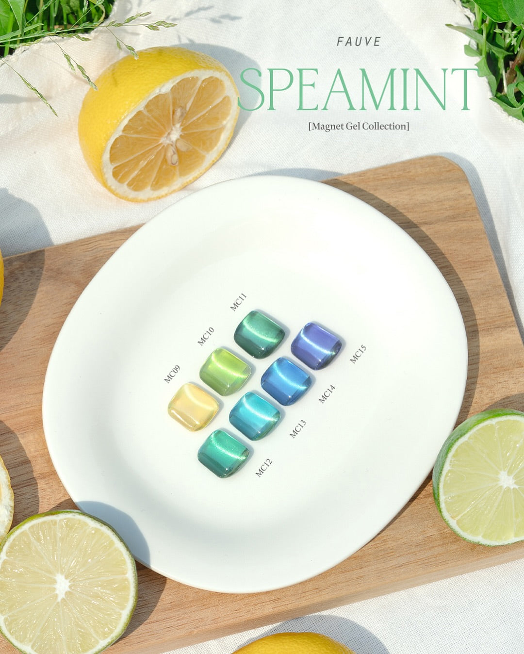 FAUVE - SPEAMINT Magnet Collection