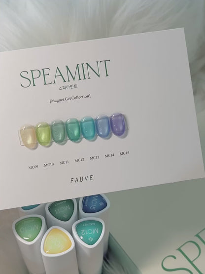 FAUVE - SPEAMINT Magnet Collection