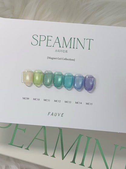 FAUVE - SPEAMINT Magnet Collection